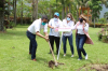 Rosa de Bayahíbe en Jarabacoa