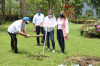 Rosa de Bayahíbe en Jarabacoa