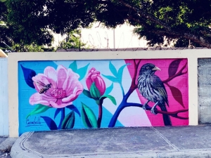 El equipo del Fondo MARENA se siente feliz de ver cómo se sigue promoviendo a través del arte nuestra flor nacional la Rosa de Bayahíbe