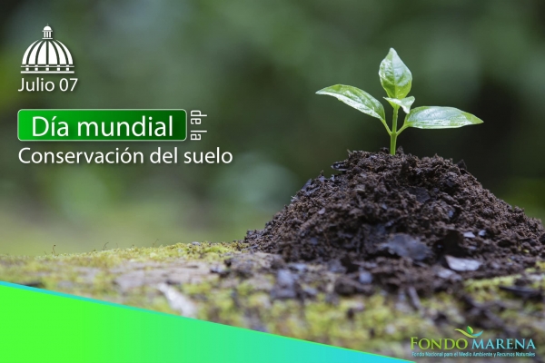 7 de julio: Día Internacional de la Conservación del Suelo