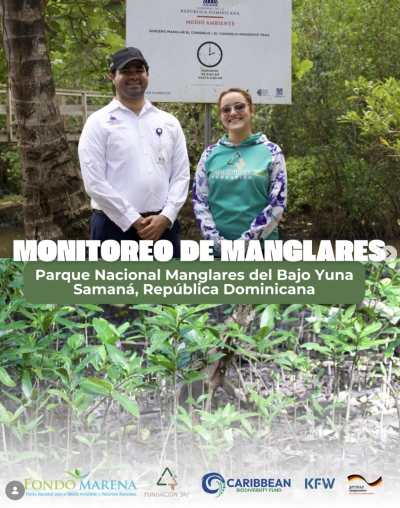 Monitoreo de manglares en el Bajo Yuna fortalece la restauración de ecosistemas costeros