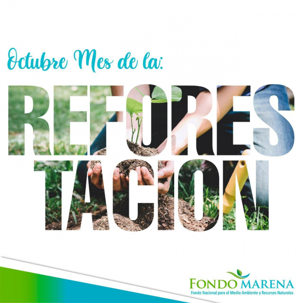 Octubre es el mes de la Reforestación