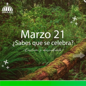 Los bosques son fundamentales para combatir el cambio climático