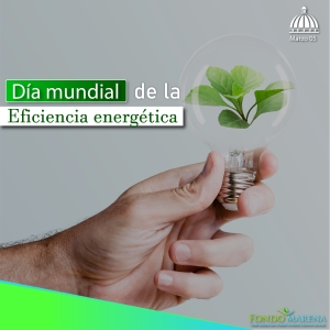 Día Mundial de la Eficiencia Energética