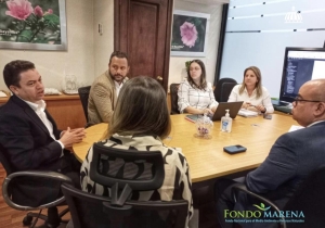 Seguimos Trabajando