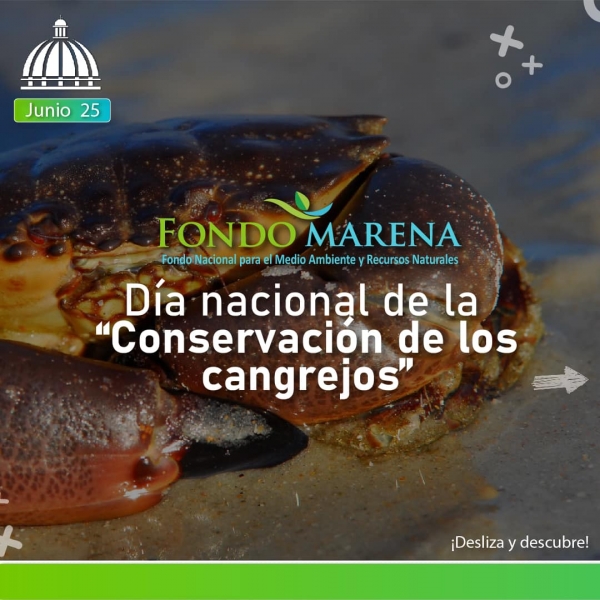 Día Nacional de la Conservación de los Cangrejos