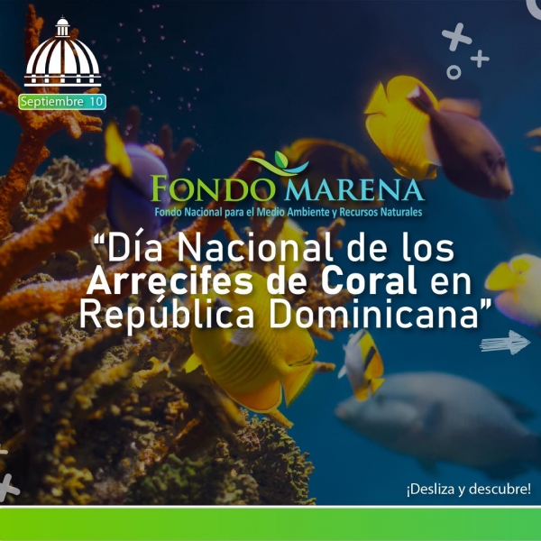 Dia Nacional de los Arrecifes de Coral en RD