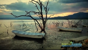Manuel Matos - Director Técnico del Fondo Nacional para el Medio Ambiente y Recursos Naturales (Fondo MARENA) desde el lago Enriquillo.
